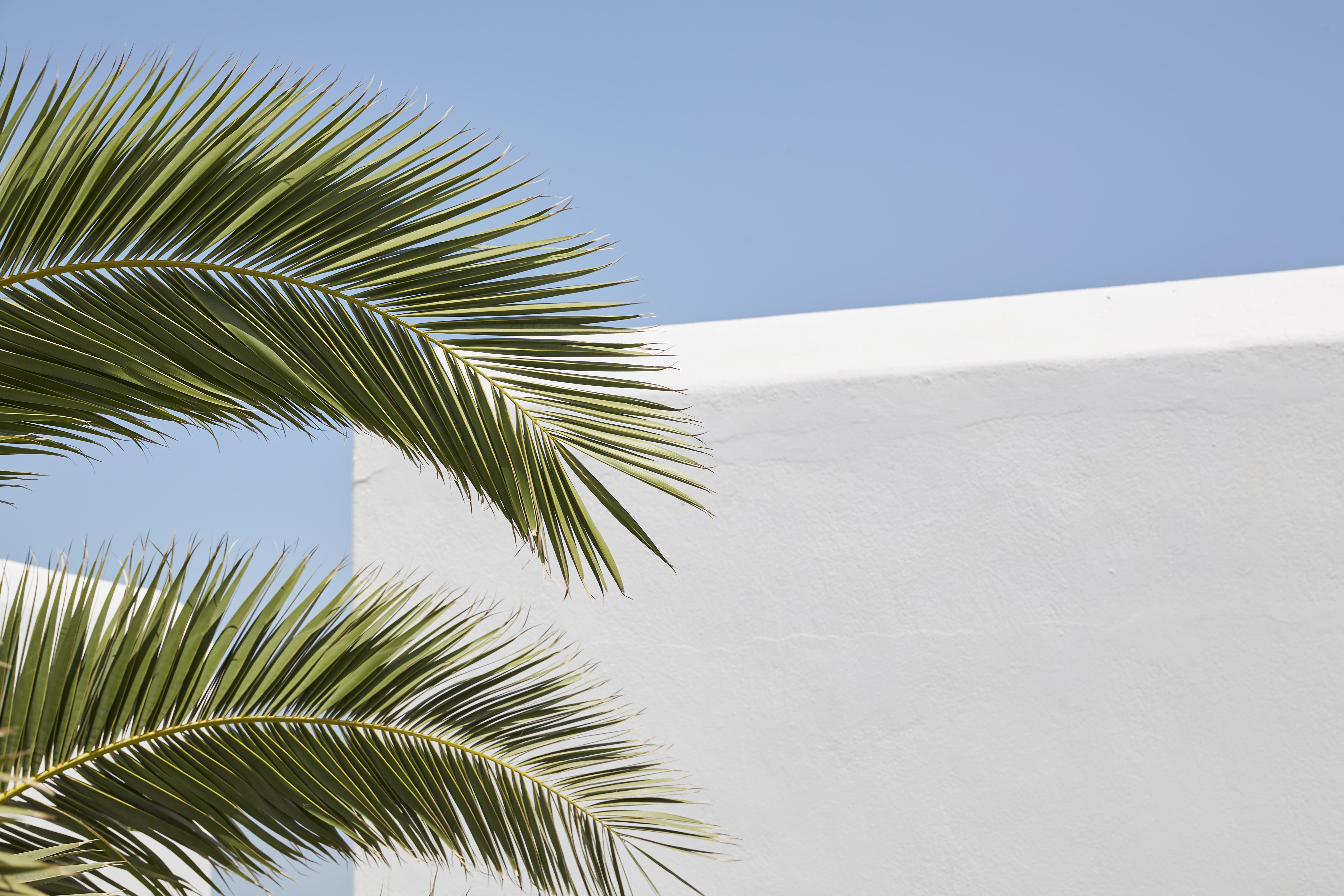Mrs. Armelina By Mr&Mrs White Hotels Páros Extérieur photo